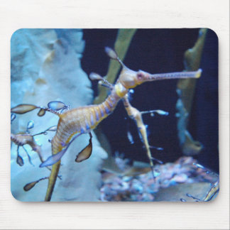 SeaDragon マウスパッド