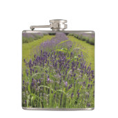 Seafoam Lavender Farm フラスク (正面)