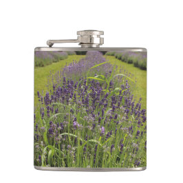 Seafoam Lavender Farm フラスク
