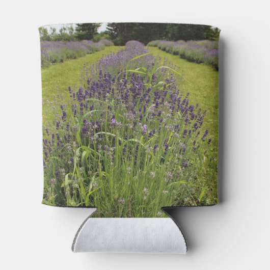 Seafoam Lavender Farm 缶クーラー (裏面)