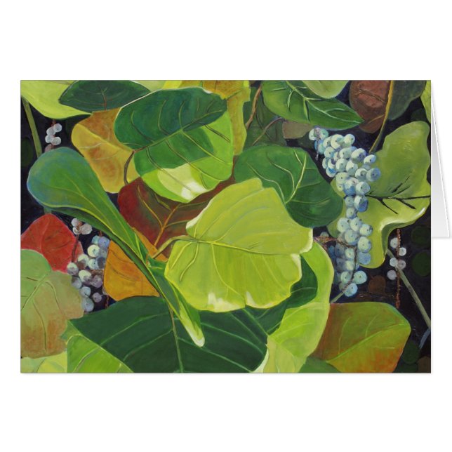 Seagrape (正面横)