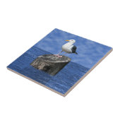 SEAGUL タイル (側面)