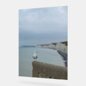 Seagul and Seven Sistersの崖（英国） アクリルサイン (傾斜)