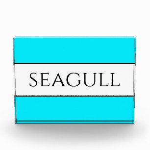 SEAGULLおもしろいブライトかわいらしスカイブルー白ストライプ フォトブロック