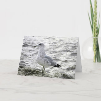 SEAGULLカード カード