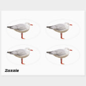 Seagullグラフィックデザイン 楕円形シール (シート)
