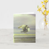 Seagullノートカード カード (黄色い花)
