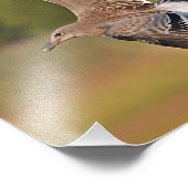 Seagullフォトプリント フォトプリント (角)