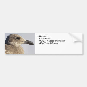 Seagullプロファイル バンパーステッカー