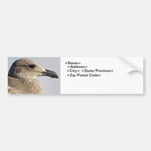 Seagullプロファイル バンパーステッカー (正面)