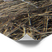 Seagull写真ポスター ポスター (角)