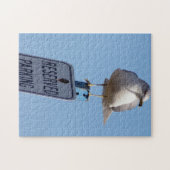 Seagull写真 ジグソーパズル (横)