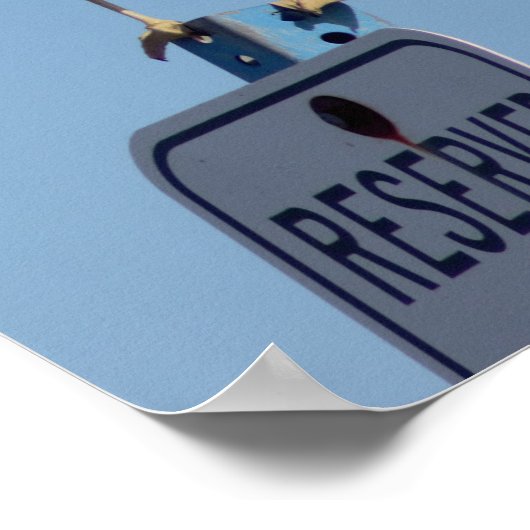 Seagull写真 ポスター (角)