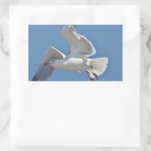 Seagull写真 長方形シール (バッグ)