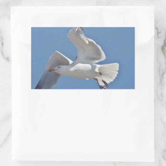 Seagull写真 長方形シール (バッグ)
