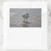 Seagull写真 長方形シール (バッグ)