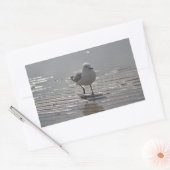 Seagull写真 長方形シール (封筒)
