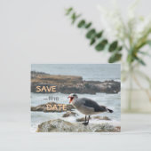 Seagull日付を保存 案内ポストカード (スタンド正面)