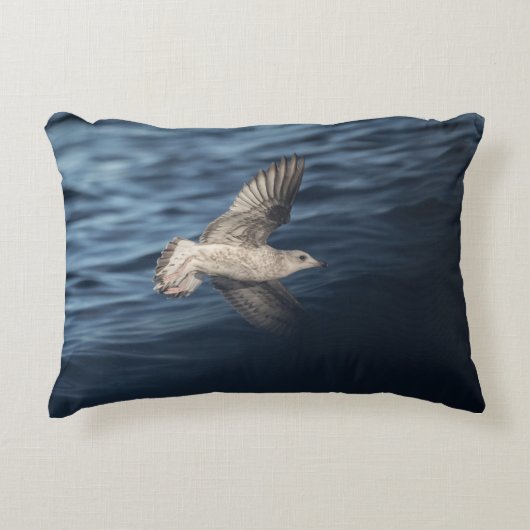 Seagull自然写真 アクセントクッション (正面)