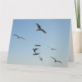 Seagull自飛んでいる分の追加文字 カード (正面)