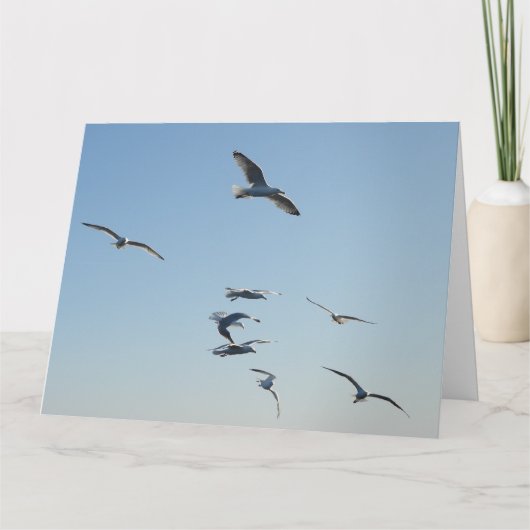 Seagull自飛んでいる分の追加文字 カード (正面)