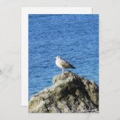 Seagull シーズンカード (正面/裏面)