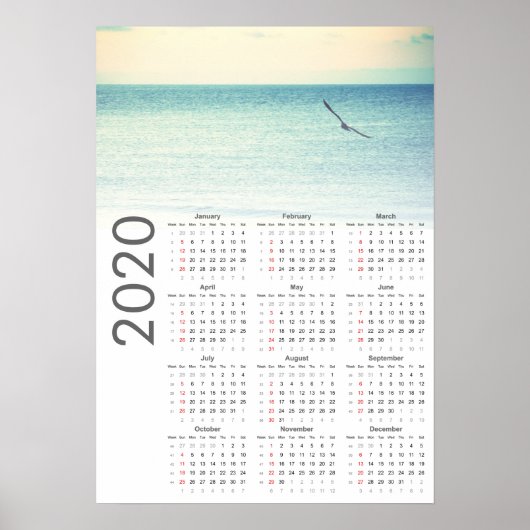 Seagull Calendar 2020ポスター ポスター (正面)