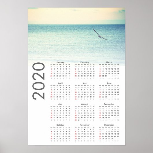 Seagull Calendar 2020ポスター ポスター (正面)