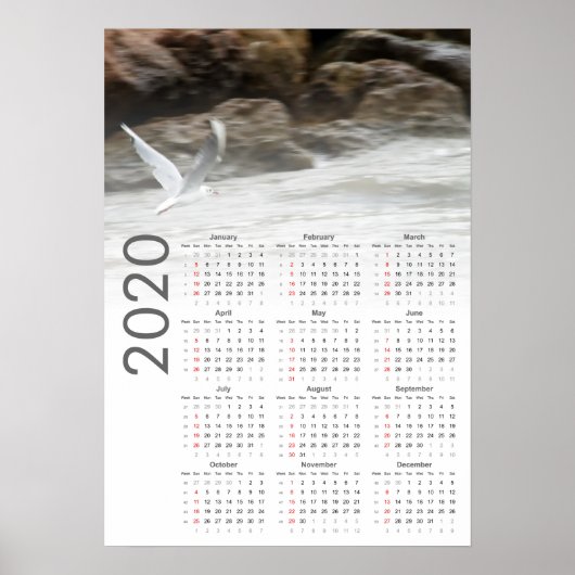 Seagull Calendar 2020 Poster ポスター (正面)