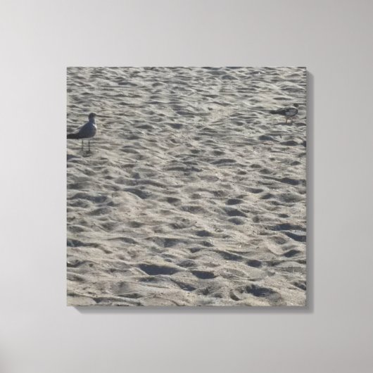 Seagull Canvas Print キャンバスプリント (正面)