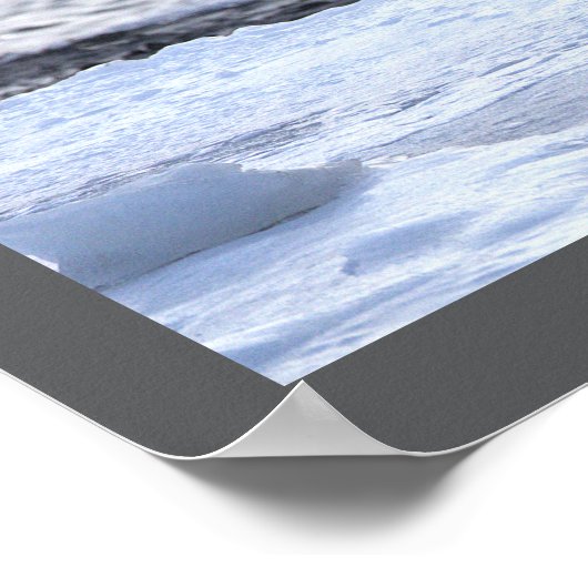 Seagull Eating on Ice Poster ポスター (角)