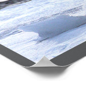 Seagull Eating on Ice Poster ポスター (角)