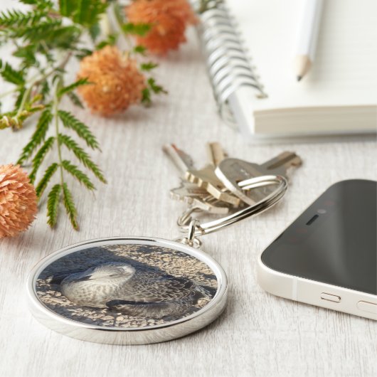 Seagull Enjoying The Sun Summer Photography キーホルダー (側面)