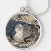 Seagull Enjoying The Sun Summer Photography キーホルダー (正面)