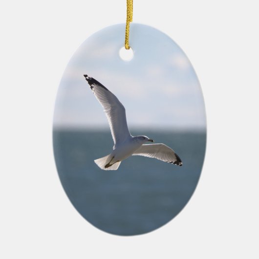 Seagull Flying Photo Ornament  セラミックオーナメント (正面)