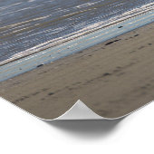 Seagull Flying Photo Poster ポスター (角)