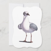Seagull Greeting Card (正面)