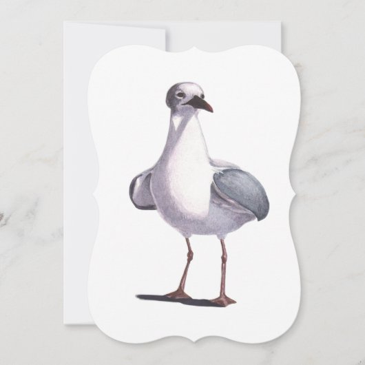 Seagull Greeting Card (正面)