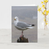 Seagull Greetings追加文字カード カード (黄色い花)