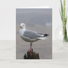 Seagull Greetings追加文字カード カード