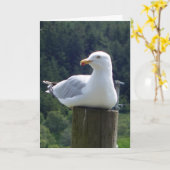 Seagull Greetings追加文字カード カード (黄色い花)