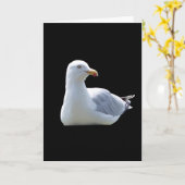 Seagull Greetings追加文字カード カード (黄色い花)