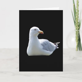 Seagull Greetings追加文字カード カード