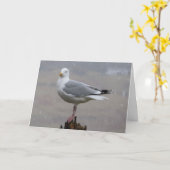 Seagull Greetings追加文字カード カード (黄色い花)
