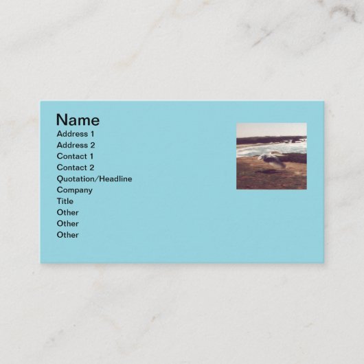 Seagull in Flight Business Cards 名刺 (正面)