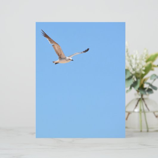 Seagull in Flight Sky Blue Coastal紙シート (スタンド正面)