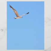 Seagull in Flight Sky Blue Coastal紙シート (正面)
