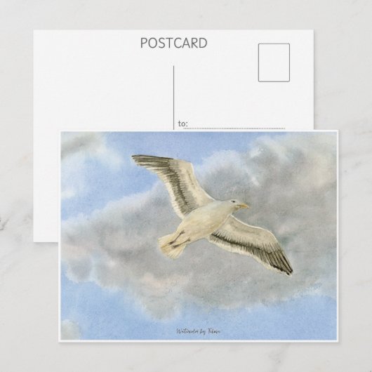 Seagull in the clouds watercolor ポストカード (正面/裏面)