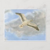 Seagull in the clouds watercolor ポストカード (正面)