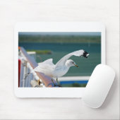 Seagull.JPG マウスパッド (マウス)